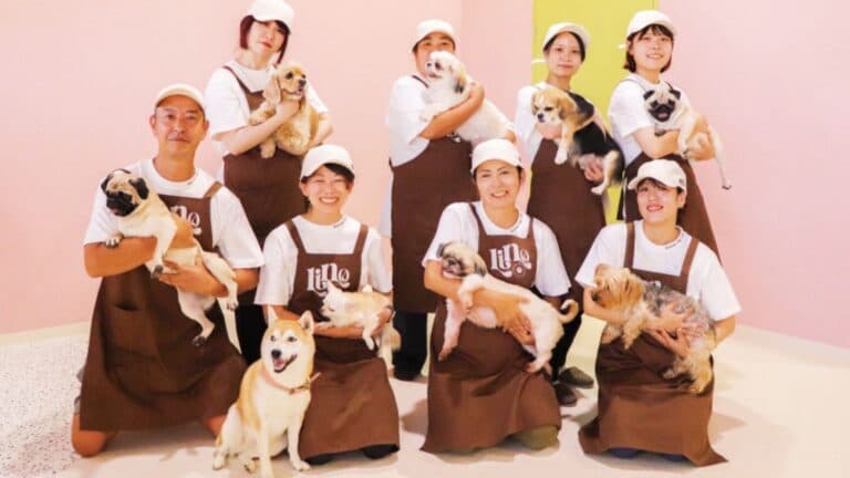 【主婦・シニア活躍中】犬舎清掃パートのリアルな働き方とは？未経験から始めるペット業界求人の探し方