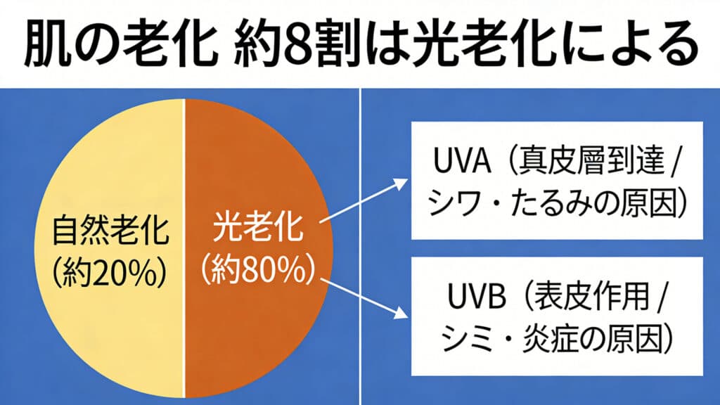 美容医療に頼る前に。皮膚科学に基づいた正しいエイジングケアの基本